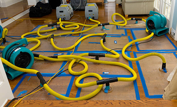 Professional Burst Pipe Water Damage technician working in Hartville, OH